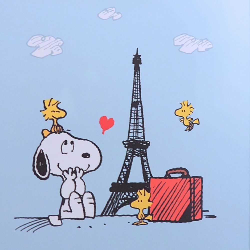 My first PEANUTS pieces