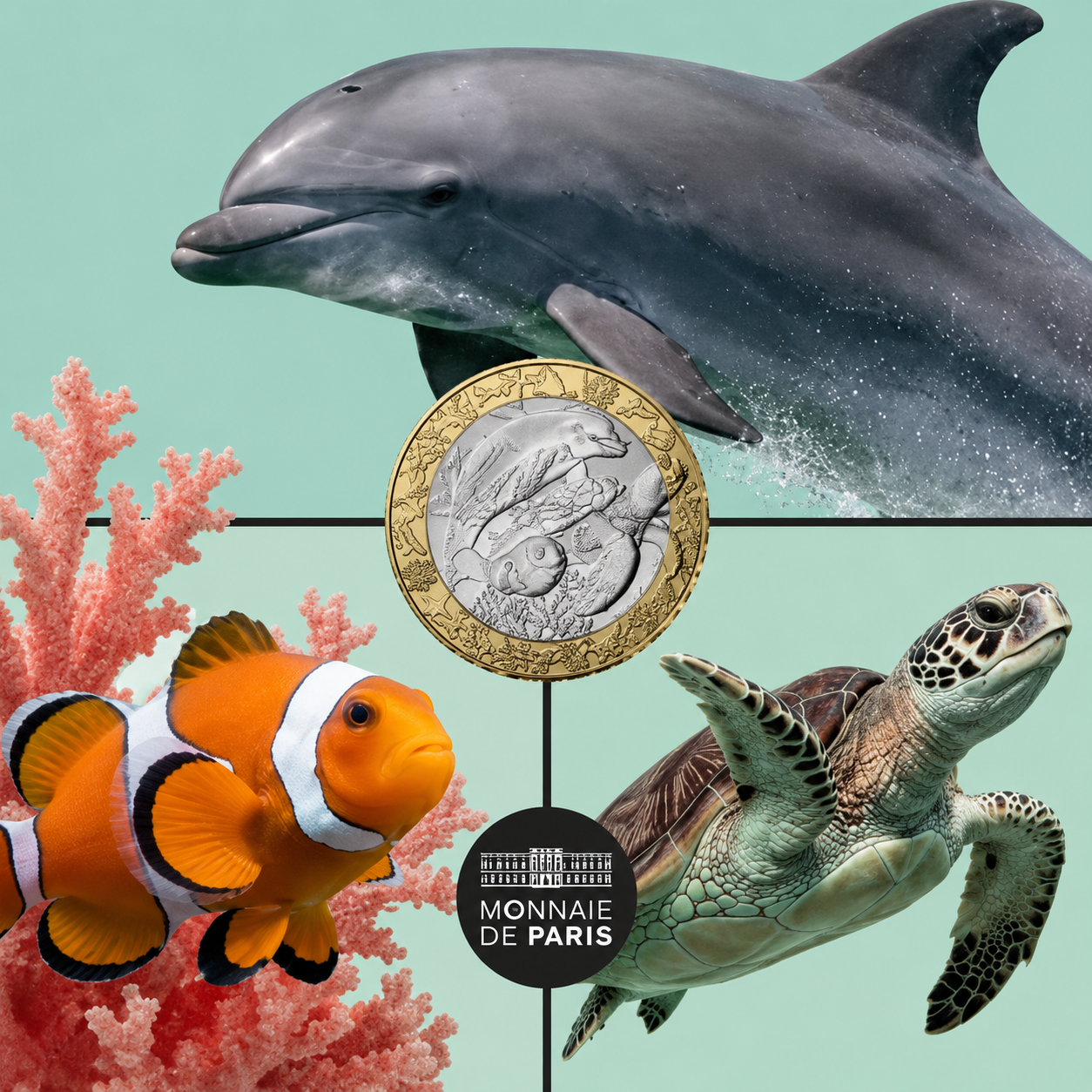 LES ANIMAUX DU MONDE– Les Animaux Marins